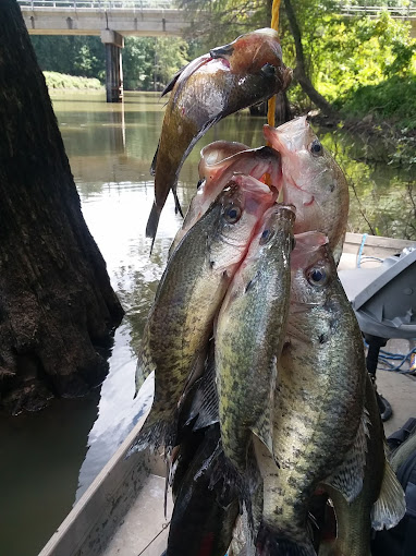White River National Wildlife Refuge