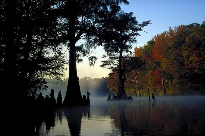 White River National Wildlife Refuge
